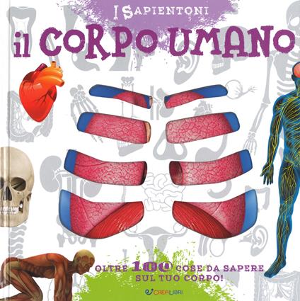 Il corpo umano. Oltre 100 cose da sapere sul tuo corpo. Ediz. a colori - copertina