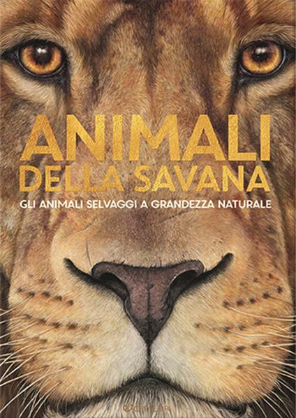 Animali della savana. Gli animali selvaggi a grandezza naturale. Ediz. illustrata - Holger Haag - copertina