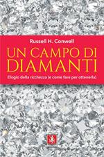 Un campo di diamanti. Elogio della ricchezza (e come fare per ottenerla)