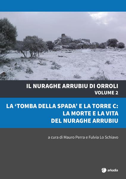 Il nuraghe Arrubiu di Orroli. Con DVD-ROM. Vol. 2: «tomba della spada» e la torre C: la morte e la vita del nuraghe Arrubiu, La. - copertina