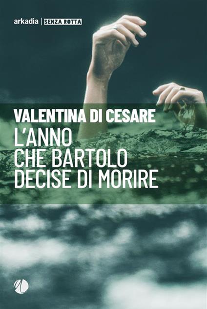 L' anno che Bartolo decise di morire - Valentina Di Cesare - ebook