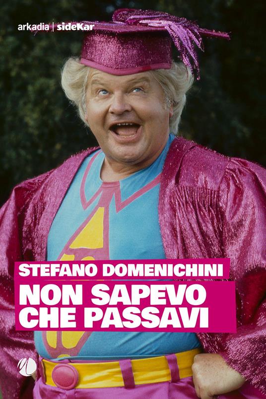 Non sapevo che passavi - Stefano Domenichini - copertina