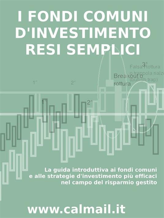 I fondi comuni d'investimento resi semplici. La guida introduttiva ai fondi comuni e alle strategie d'investimento più efficaci nel campo del risparmio gestito - Stefano Calicchio - ebook