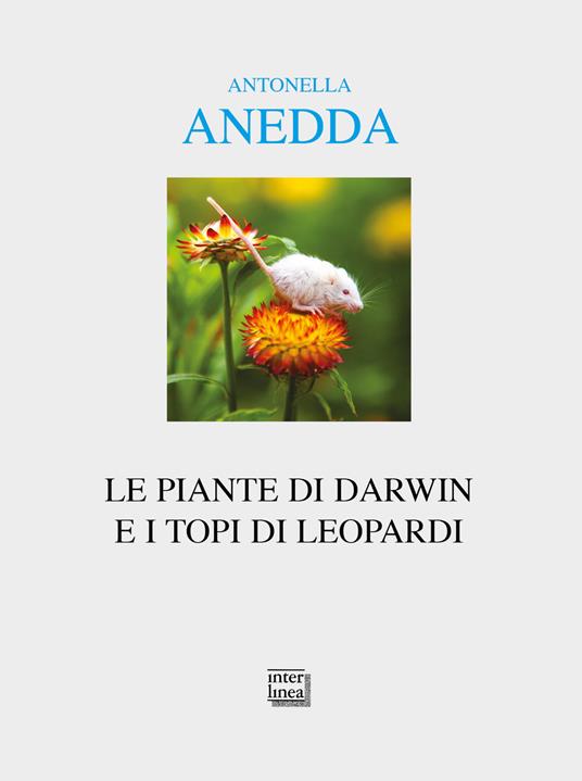 Le piante di Darwin e i topi di Leopardi - Antonella Anedda - copertina