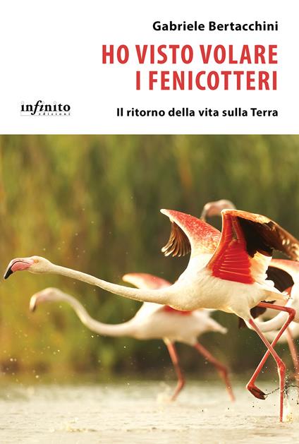 Ho visto volare i fenicotteri. Il ritorno della vita sulla Terra - Gabriele Bertacchini - copertina