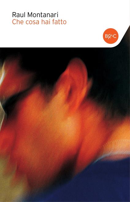 Che cosa hai fatto - Raul Montanari - ebook