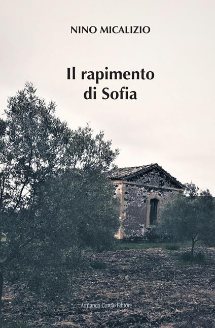 Il rapimento di Sofia - Nino Micalizio - ebook