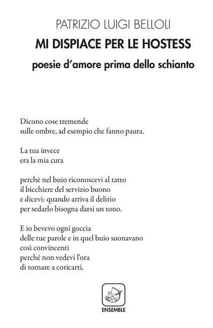 Mi dispiace per le hostess. Poesie d'amore prima dello schianto - Patrizio Luigi Belloli - copertina