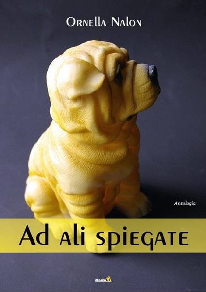 Ad ali spiegate - Ornella Nalon - copertina