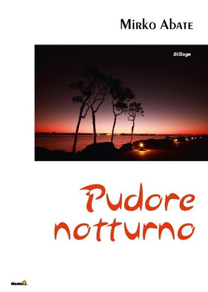 Pudore notturno - Mirko Abate - copertina