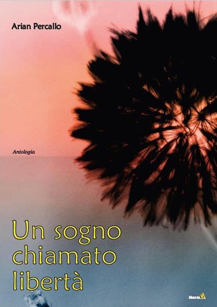 Un sogno chiamato libertà - Arian Percallo - copertina