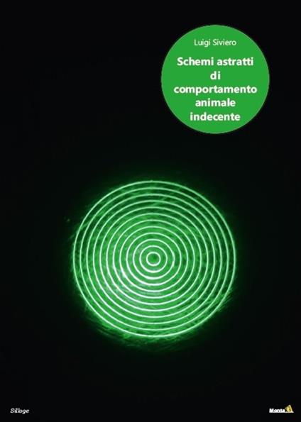 Schemi astratti di comportamento animale indecente - Luigi Siviero - copertina