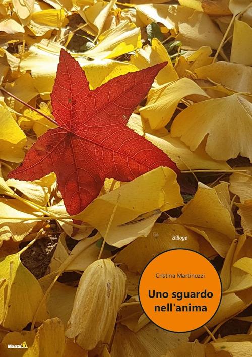 Uno sguardo nell'anima - copertina