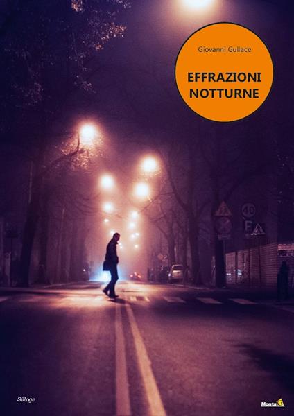 Effrazioni notturne - Giovanni Gullace - copertina