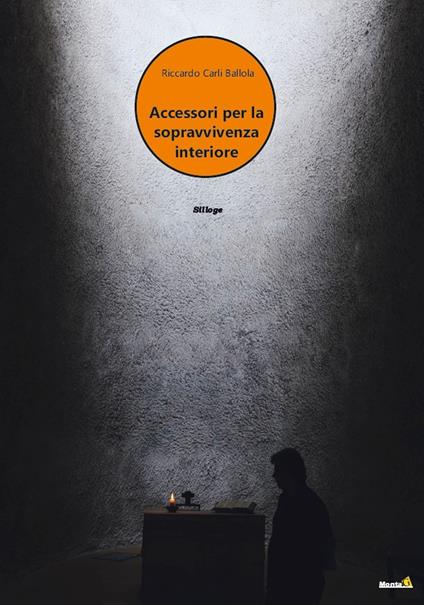 Accessori per la sopravvivenza interiore - Riccardo Carli Ballola - copertina