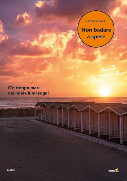 Non badare a spese - Veruska Vertuani - copertina