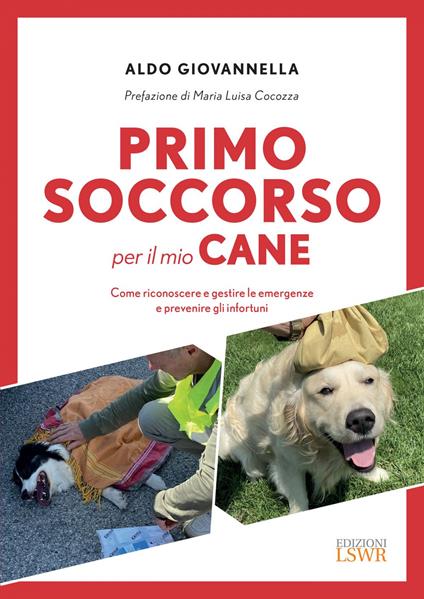 Primo soccorso per il mio cane. Come riconoscere e gestire le emergenze e prevenire gli infortuni - Aldo Giovannella - ebook