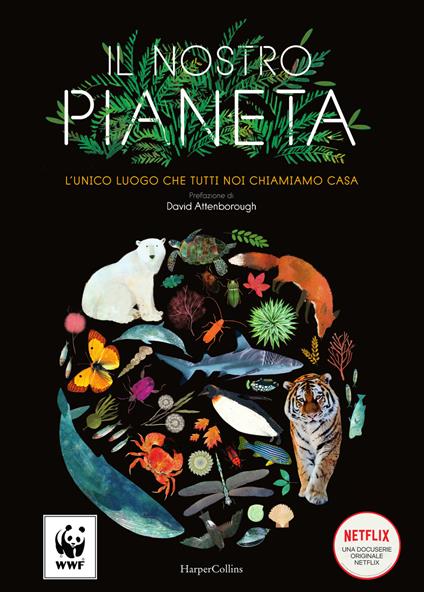 Il nostro pianeta. L'unico luogo che tutti noi chiamiamo casa. Ediz. a colori - Matt Whyman - copertina