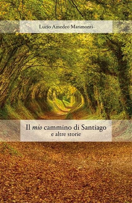 Il mio cammino di Santiago e altre storie - Lucio Amedeo Marimonti - ebook