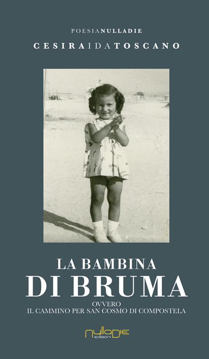 La bambina di bruma ovvero Il Cammino per San Cosmo di Compostela - Cesira Ida Toscano - copertina