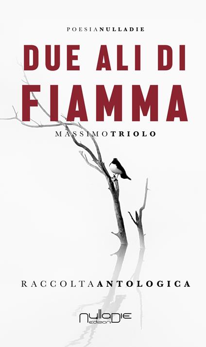 Due ali di fiamma - Massimo Triolo - copertina