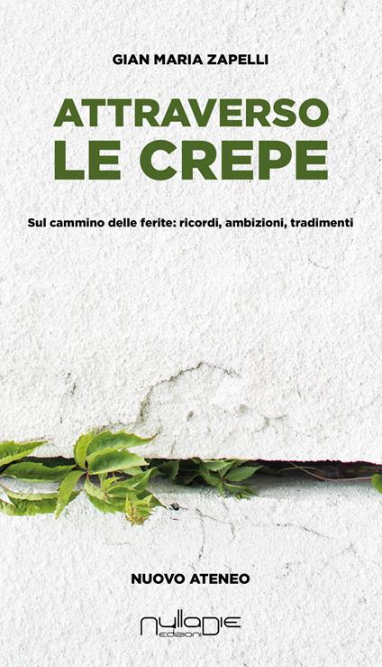 Attraverso le crepe. Sul cammino delle ferite: ricordi, ambizioni, tradimenti - Gian Maria Zapelli - copertina