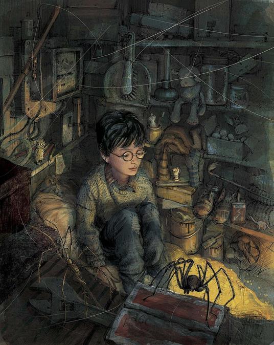 Harry Potter e la pietra filosofale. Ediz. a colori. Vol. 1 - J. K. Rowling - 11