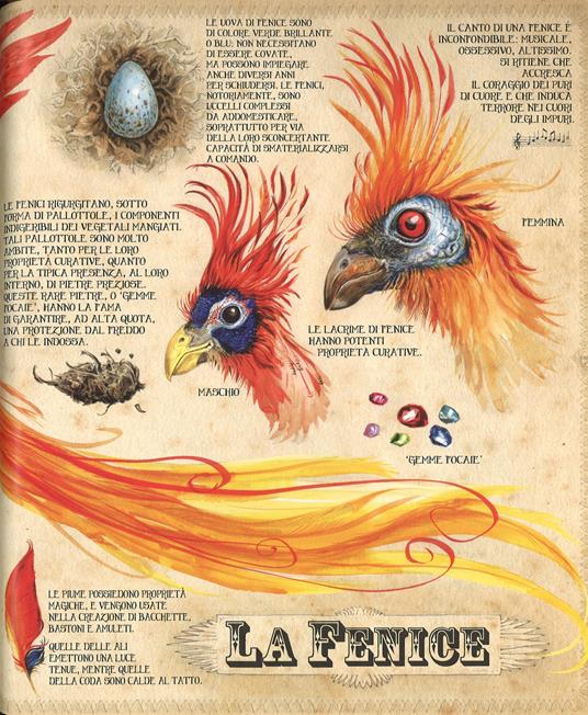 Harry Potter e la camera dei segreti illustrato Minalima - Salani