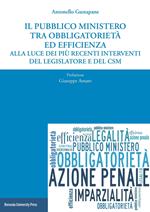 Il pubblico ministero tra obbligatorietà ed efficienza alla luce dei più recenti interventi del legislatore e del CSM