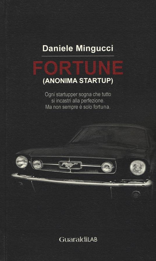 Fortune (anonima startup). Ogni startupper sogna che tutto si incastri alla perfezione. Ma non sempre è solo fortuna... - Daniele Mingucci - copertina