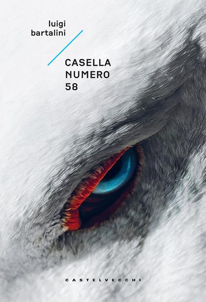 Casella numero 58 - Luigi Bartalini - ebook