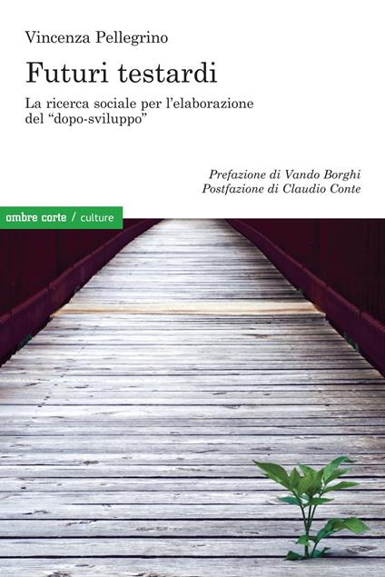 Futuri testardi. La ricerca sociale per l'elaborazione del «dopo-sviluppo» - Vincenza Pellegrino - copertina