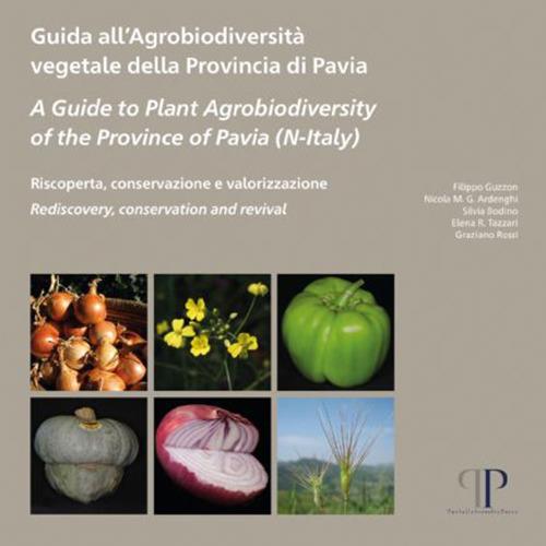 Guida all'agrobiodiversità vegetale della Provincia di Pavia-A Guide to Plant Agrobiodiversity of the Province of Pavia (N-Italy)-Riscoperta, conservazione e valorizzazione. Rediscovery, conservation and revival - Filippo Guzzon,Nicola Maria Giuseppe Ardenghi,Silvia Bodino - copertina