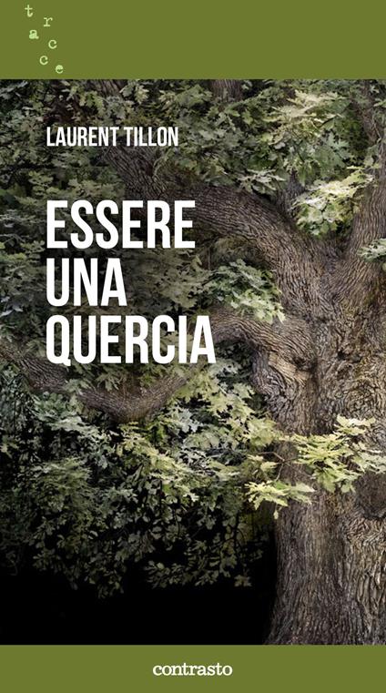 Essere una quercia - Laurent Tillon - copertina