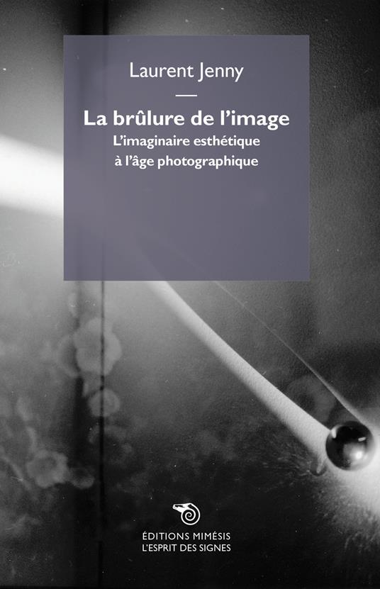 La brûlure de l'image. L'imaginaire esthétique à l'âge photographique - Laurent Jenny - copertina