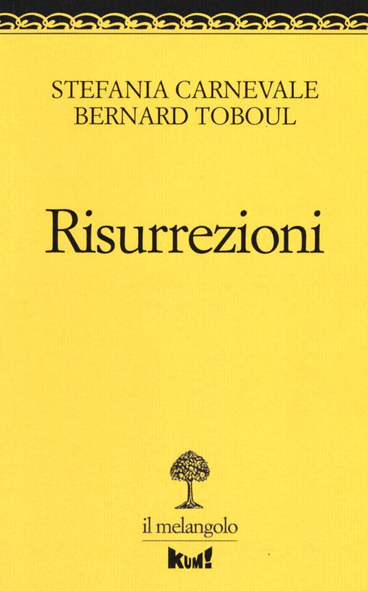 Risurrezioni. La vita dopo il trauma - Stefania Carnevale,Bernard Toboul - copertina