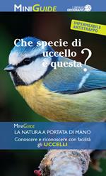 Che specie di uccello è questa?