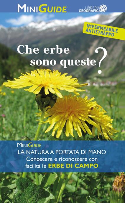 Che erbe sono queste? - copertina