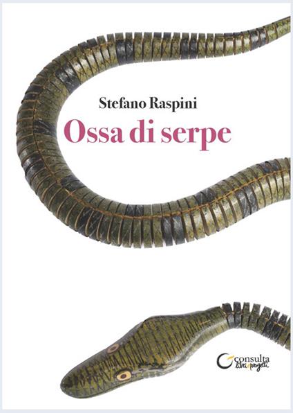 Ossa di serpe. Laboratori creativi sul libro della Scuola Primaria di Villa Minozzo - Stefano Raspini - copertina
