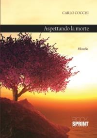 Aspettando la morte - Carlo Cocchi - copertina