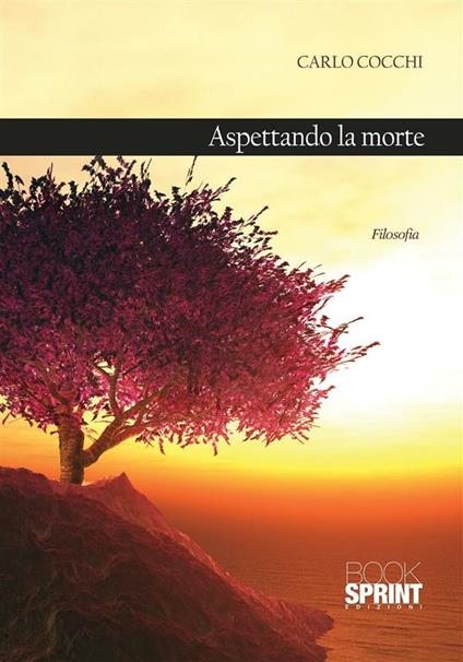 Aspettando la morte - Carlo Cocchi - ebook