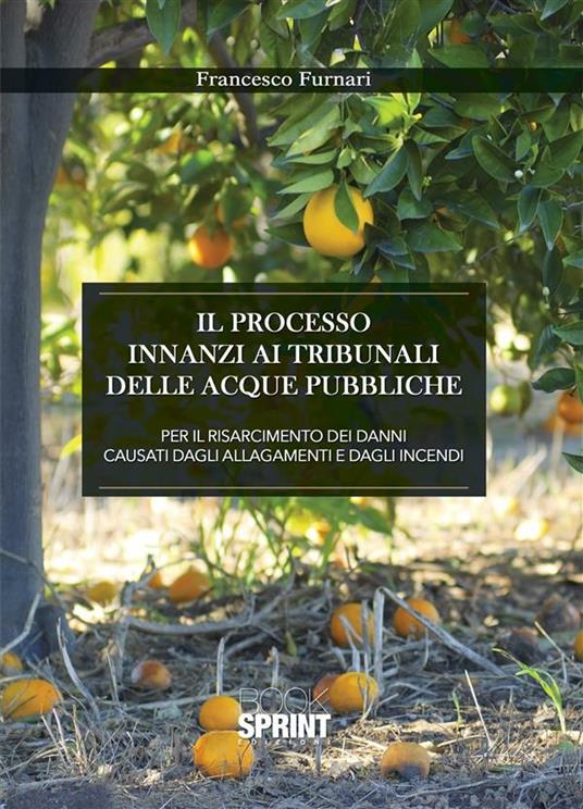 Il processo innanzi ai tribunali delle acque pubbliche per il risarcimento dei danni causati dagli allagamenti e dagli incendi - Francesco Furnari - ebook