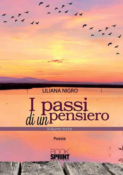 I passi di un pensiero - Liliana Nigro - copertina