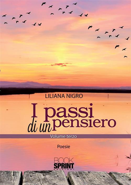 I passi di un pensiero - Liliana Nigro - ebook