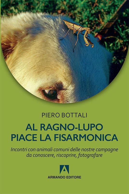 Al ragno-lupo piace la fisarmonica. Incontri con animali comuni delle nostre campagne da conoscere, riscoprire, fotografare - Piero Bottali - copertina