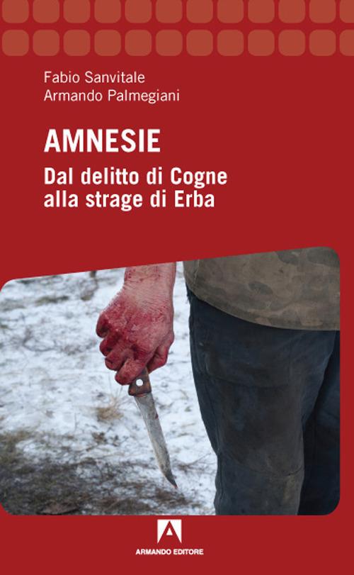 Amnesie - Fabio Sanvitale,Armando Palmegiani - copertina