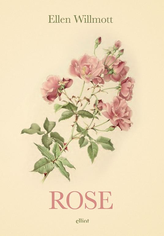 Rose - Ellen Wilmott - copertina