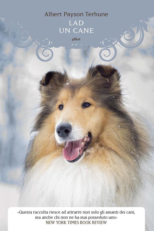 Lad. Un cane - Albert Payson Terhune - copertina