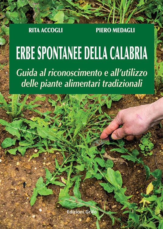 Erbe spontanee della Calabria. Guida al riconoscimento e all'utilizzo delle piante alimentari tradizionali - Rita Accogli,Piero Medagli - copertina