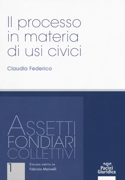 Il processo in materia di usi civili - Claudia Federico - copertina